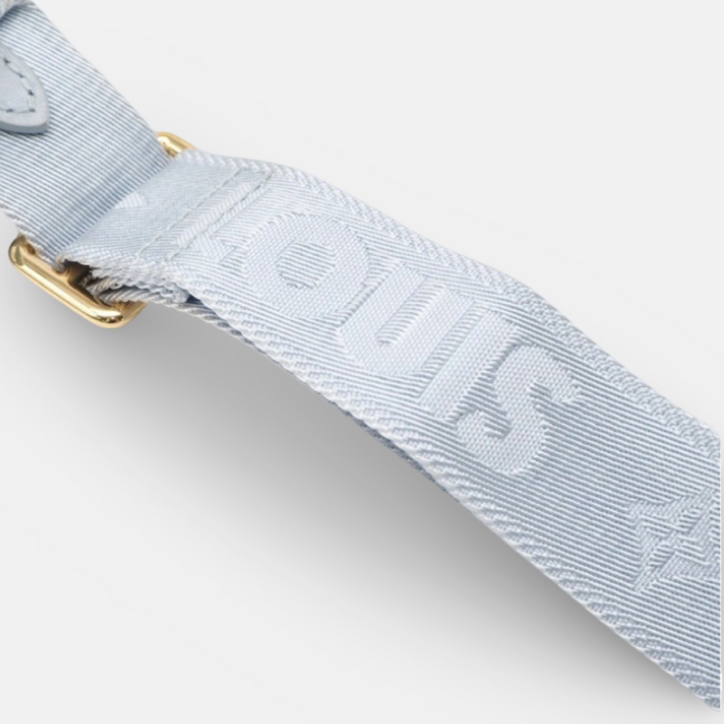 Louis Vuitton Alma Soft BB Bubblegram Blue Glacier Lambskin – Excellent Condition -previously owned Authentic