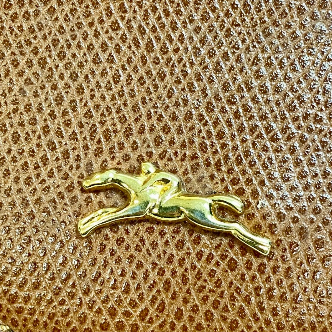 Longchamp Chain Pouch Brown Leather Gold Hardware Shoulder Crossbody Bag Previously Owned Authentic