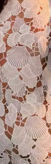 White Floral Lace Mini Dress Stand Collar Long Sleeve Style