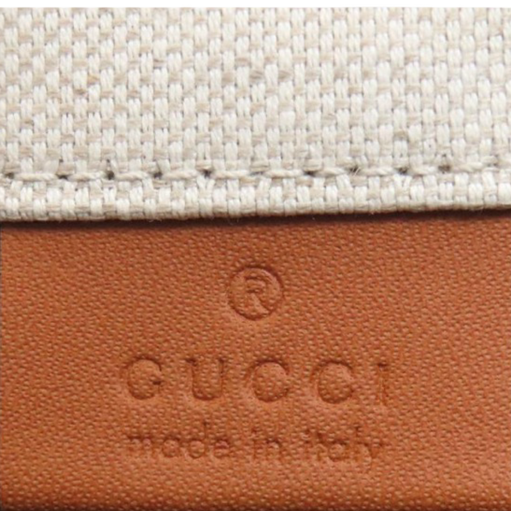 Gucci Print Small Canvas Handbag Beige Brown | Authentic Previously Owned