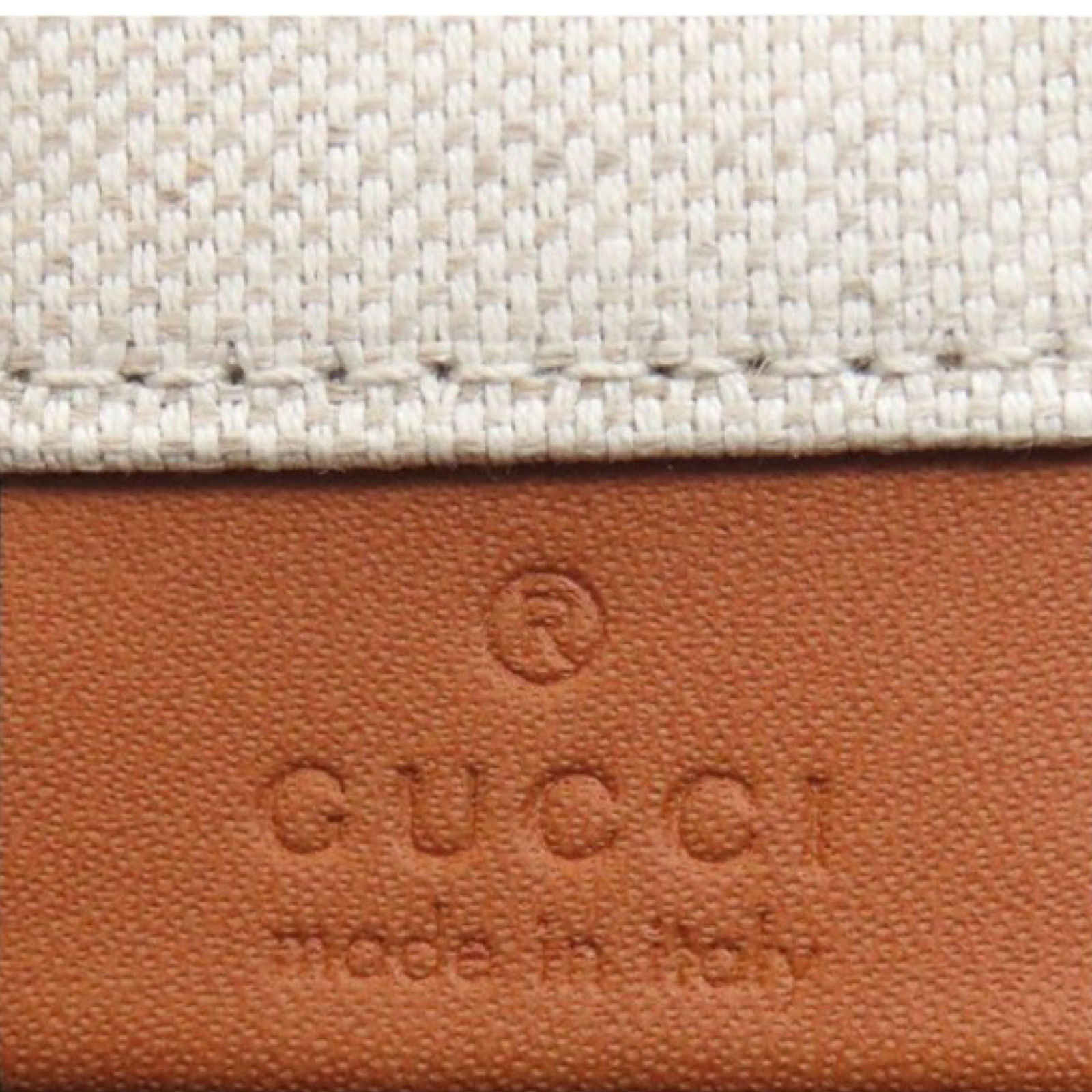 Gucci Print Small Canvas Handbag Beige Brown | Authentic Previously Owned