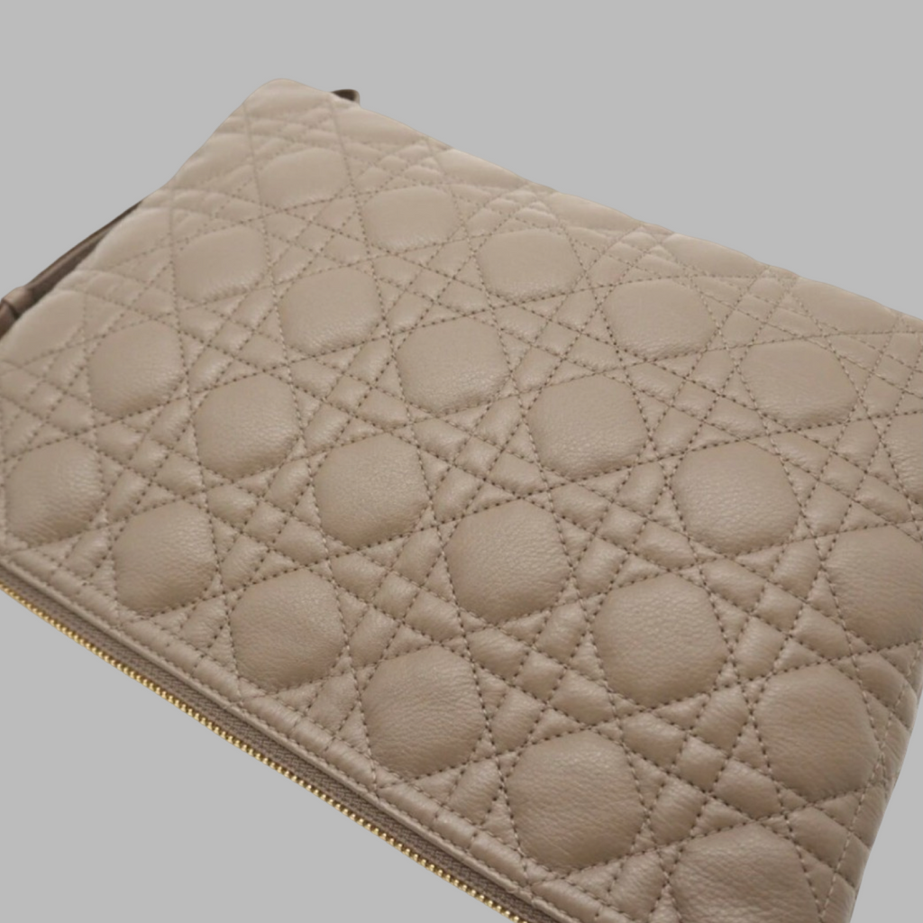 Dior Large Leather Caro Daily Pouch Authentic Previously Owned