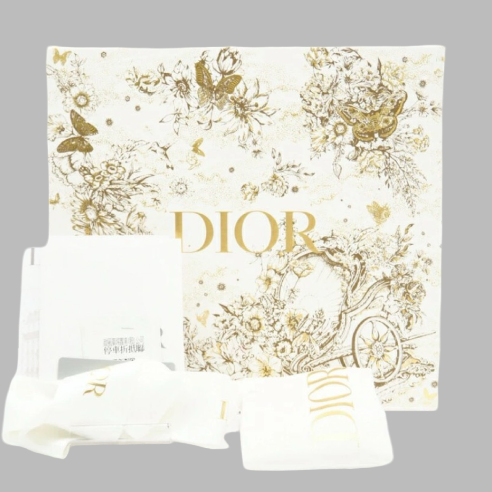 Dior Large Leather Caro Daily Pouch Authentic Previously Owned
