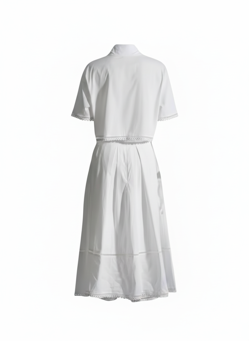 A-Lined Skirt & Lapel Top