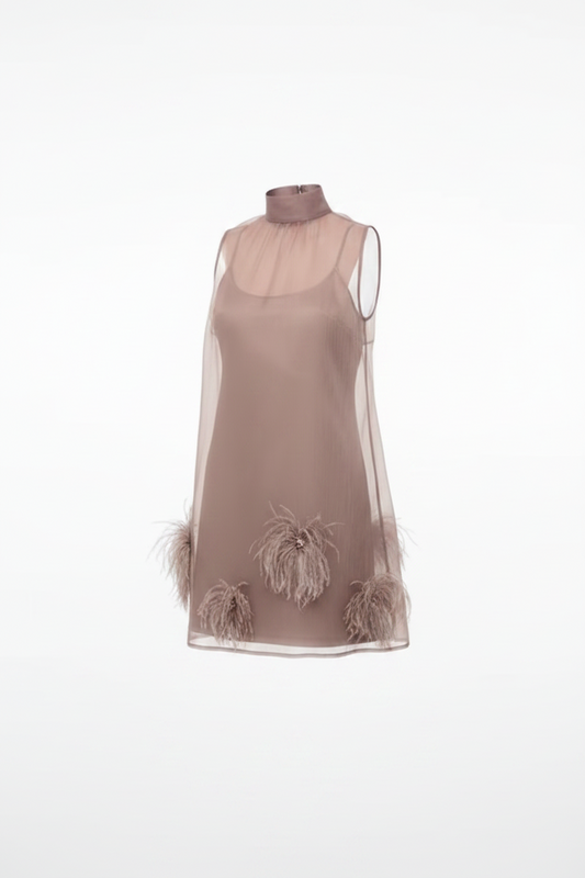 Taupe Feather Trim Mesh Mini Dress | L’LUXE Dresse