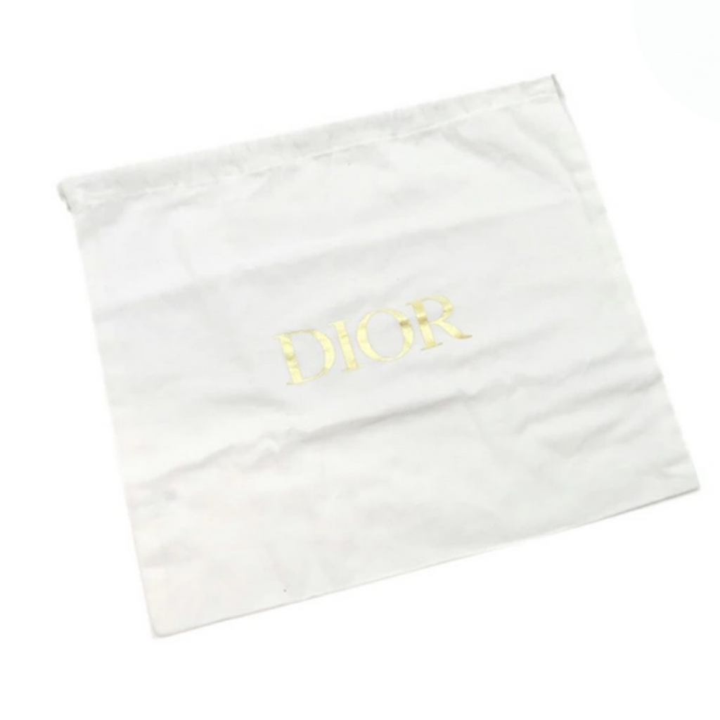 Christian Dior Mini Saddle Bag White Leather Gold Hardware | Authentic Previously Owned